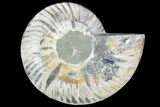 Agatized Ammonite Fossil (Half) - Crystal Chambers #88457-1